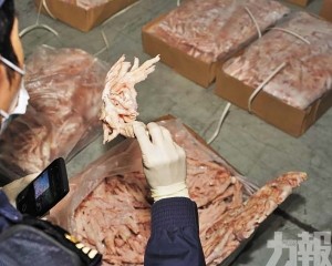 涉偽報貨物企圖蒙混過關