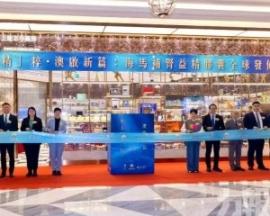 助產業國際化高質量發展