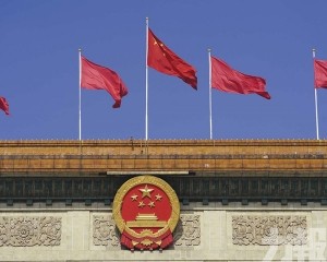 劉結一：大灣區建設再提速