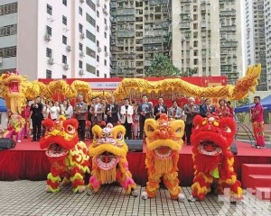 台山坊會辦龍獅賀歲嘉年華