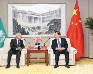 相信澳門能制定好「三五」規劃