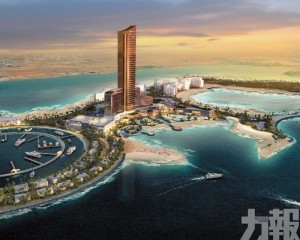 阿聯酋項目暫未受影響