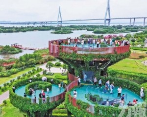 共建國際旅遊樞紐