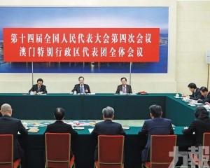 助中小企業融入國家發展大局