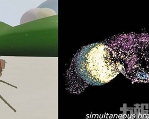 首度由真實神經連接組驅動虛擬軀體