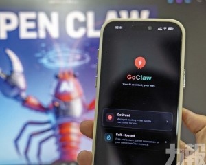 專家提醒勿貪方便過度授權