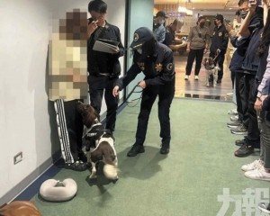 兩女下體藏毒入台被捕