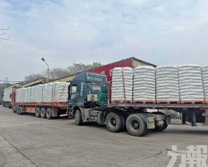 東莞樟木頭塑膠市場價格急升