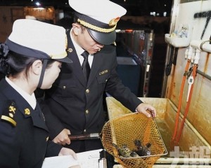 供港穩增並拓東盟市場