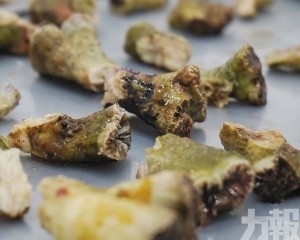 重623克列CITES附錄Ⅱ物種