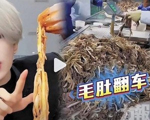 網紅「鹿哈」或賠數十億