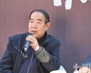 賈平凹蔣方舟等人陷抄襲爭議