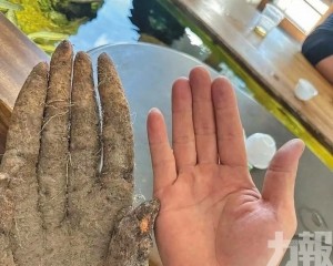 有人出價8,000元求購遭拒