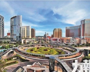 惟盈利增長放緩成隱憂