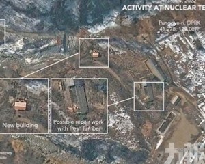 近四分之一現染色體異常