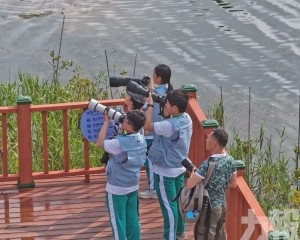 灣區青少年共倡生態保護