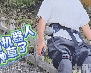 助力遊客「無痛」登山