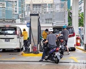 推動綠色轉型應對能源波動