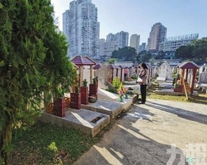 澳門清明返鄉祭祖百年情