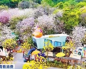 清明跨境人流爆發