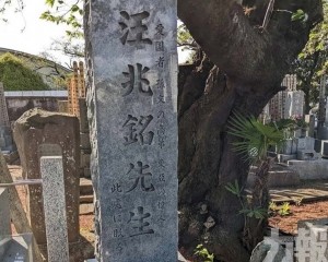 內地輿論痛批「追思」漢奸