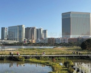 澳門海域生態的挑戰與希冀