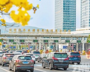 澳琴協同打造全球引才品牌