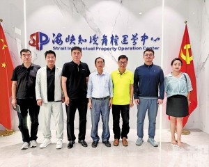 冀推動海峽兩岸知識產權合作