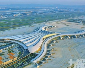 料日均客流5.6萬人次創新高