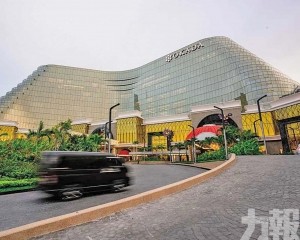 貴賓業務續受壓