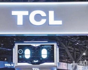 全球化策略推動收入穩步增長