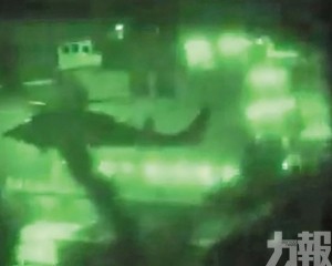 陸戰隊垂降登檢畫面曝光