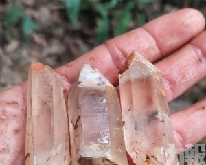 當局叫停並追責