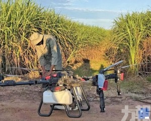 路人遭爆頭身亡