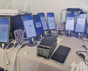 1秒搶到「專家號」