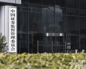 中能糧科成境外上市監管首案