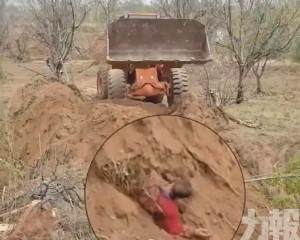 前村支書開鏟車活埋村民被刑拘