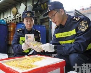 「三聯三同」助力灣區一體化