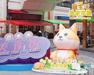 毛孩子變裝萌翻天促文旅融合