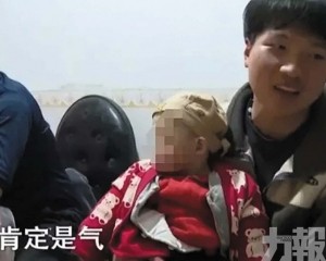 官方調查揭露真實情況