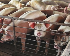 加速剝離非主業回籠資金