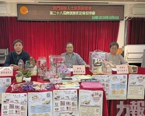 善款投放早療及重度智障支援
