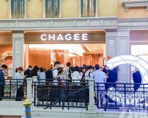全球佈局拓展至九國