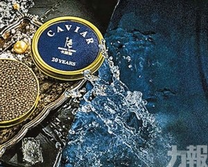 鱘龍科技押注中國高端消費市場