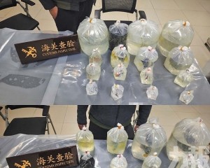 檢38條活體魚