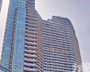  MiuMiu、YSL不堪輿論跪低解封