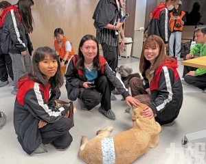 探訪流浪犬舍宣揚愛護動物理念