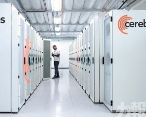 Cerebras：或需15年才成氣候