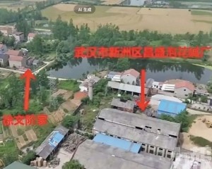 官方成立調查組