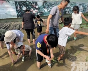 善明會親子中山探自然奧秘